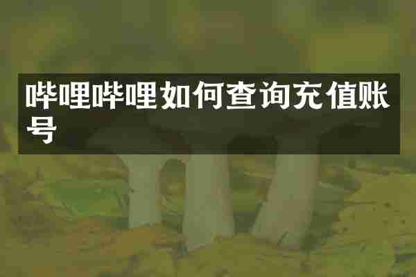 哔哩哔哩如何查询充值账号