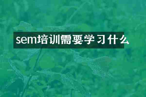 sem培训需要学习什么