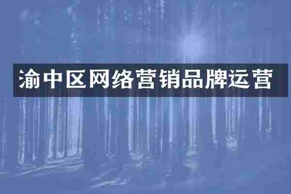 渝中区网络营销品牌运营