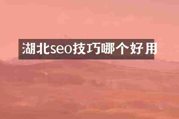 湖北seo技巧哪个好用