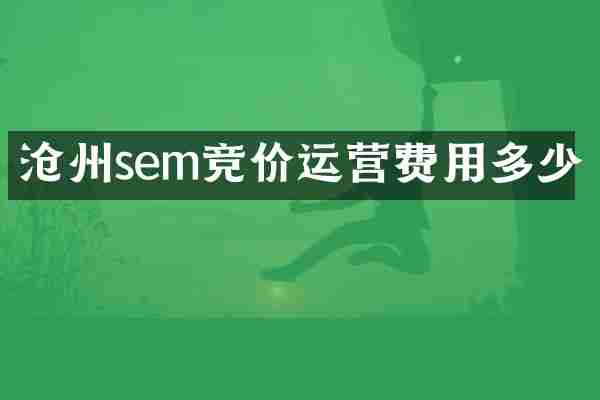 沧州sem竞价运营费用多少