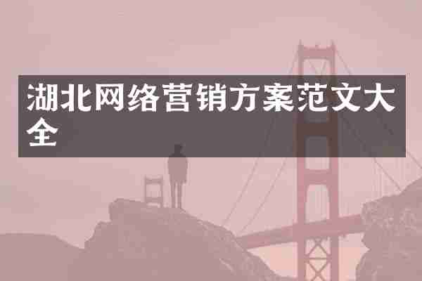 湖北网络营销方案范文大全