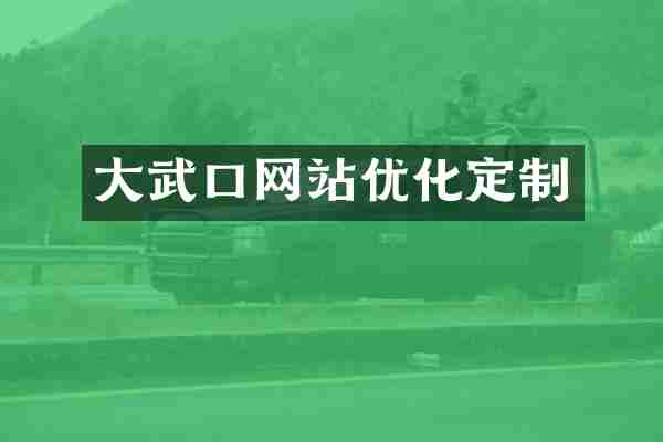大武口网站优化定制