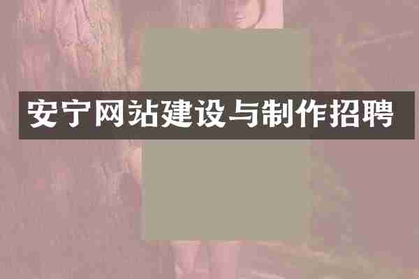 安宁网站建设与制作招聘