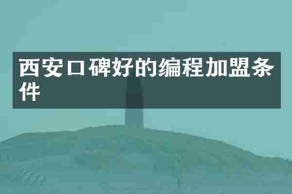 西安口碑好的编程加盟条件