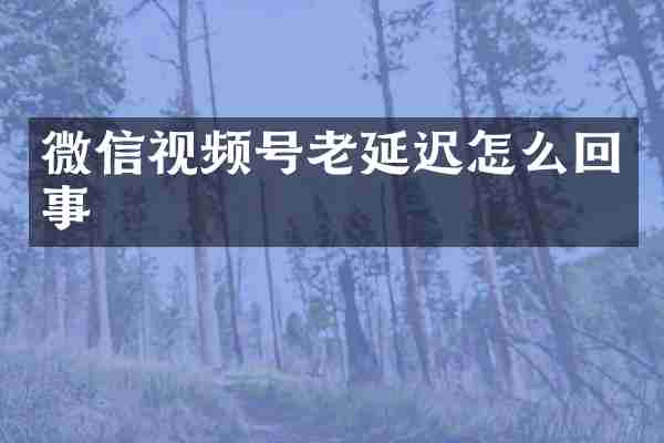 微信视频号老延迟怎么回事