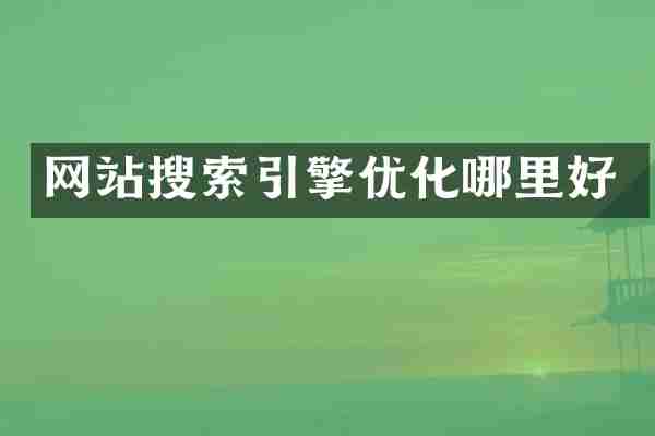 网站搜索引擎优化哪里好