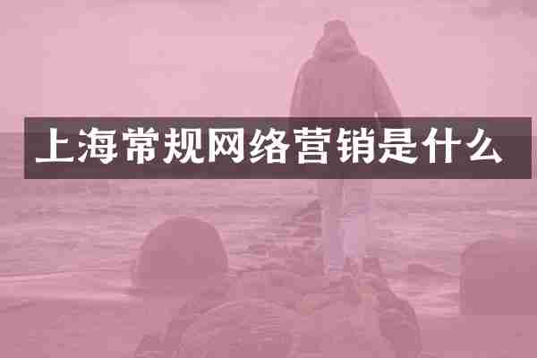 上海常规网络营销是什么