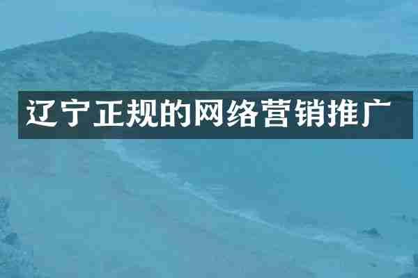 辽宁正规的网络营销推广