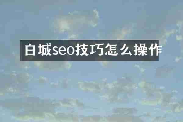 白城seo技巧怎么操作