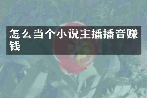 怎么当个小说主播播音赚钱
