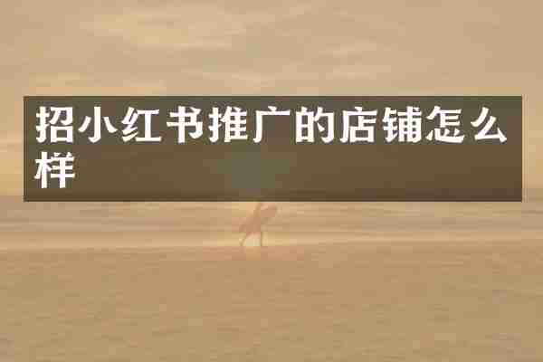 招小红书推广的店铺怎么样
