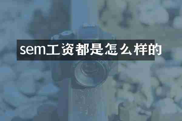 sem工资都是怎么样的