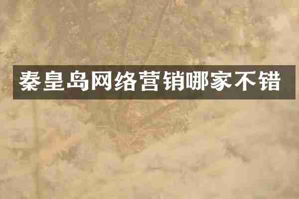 秦皇岛网络营销哪家不错