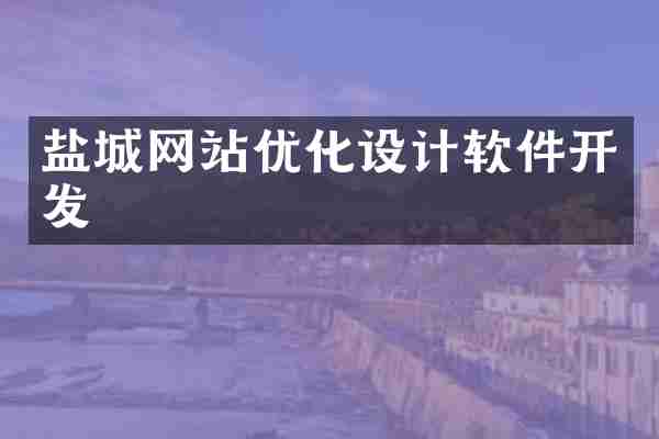 盐城网站优化设计软件开发