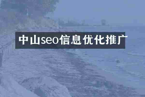 中山seo信息优化推广