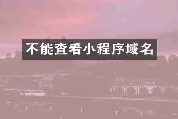 不能查看小程序域名