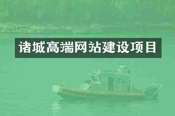 诸城高端网站建设项目