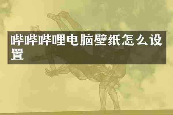 哔哔哔哩电脑壁纸怎么设置