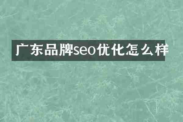 广东品牌seo优化怎么样