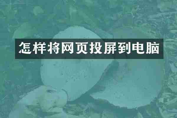怎样将网页投屏到电脑