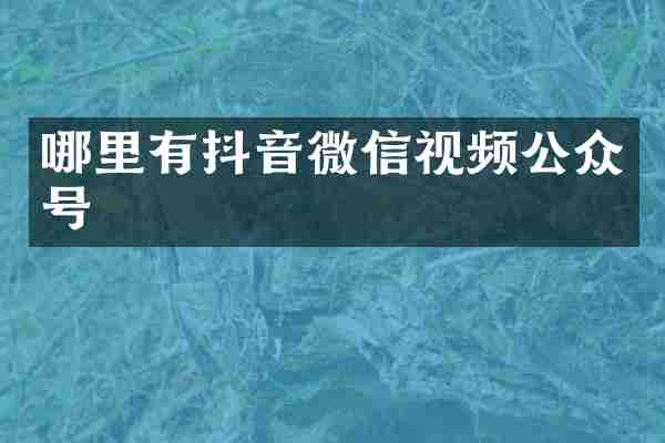 哪里有抖音微信视频公众号