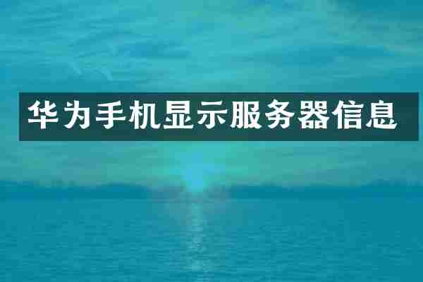 华为手机显示服务器信息