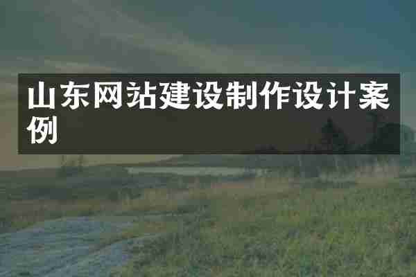 山东网站建设制作设计案例