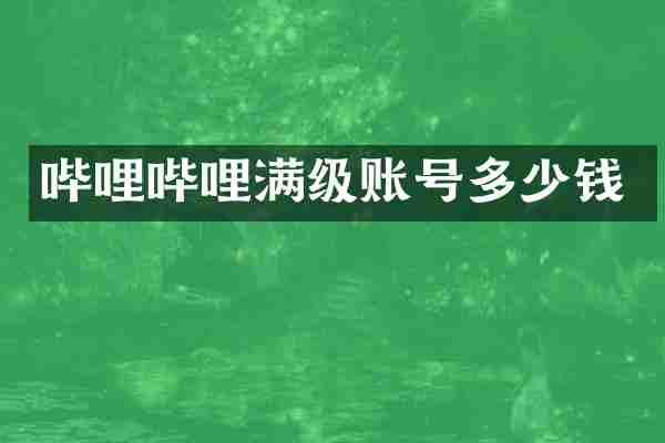 哔哩哔哩满级账号多少钱