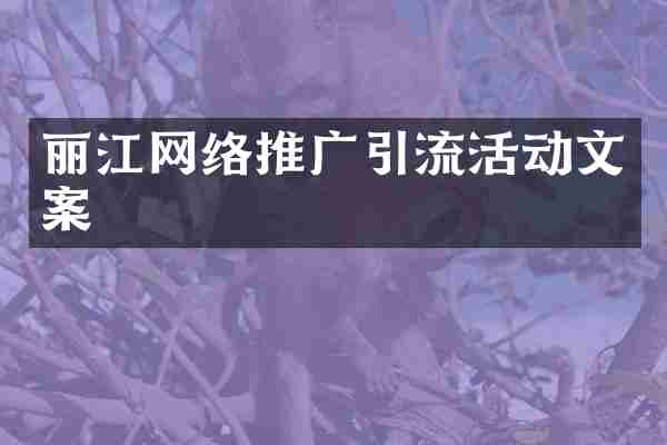 丽江网络推广引流活动文案