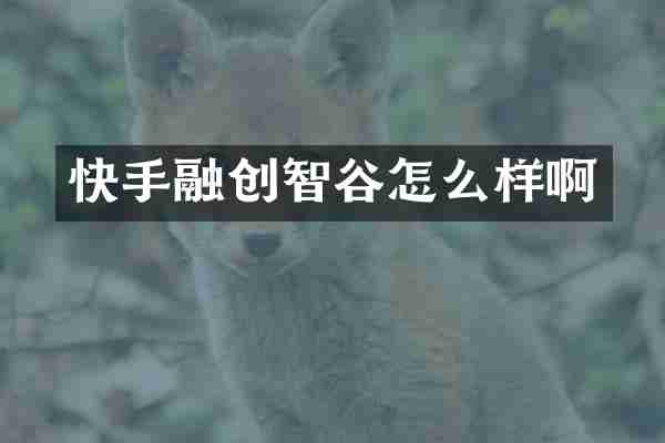 快手融创智谷怎么样啊