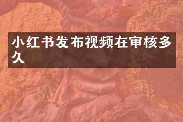 小红书发布视频在审核多久