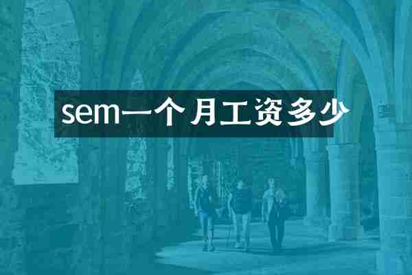 sem一个月工资多少