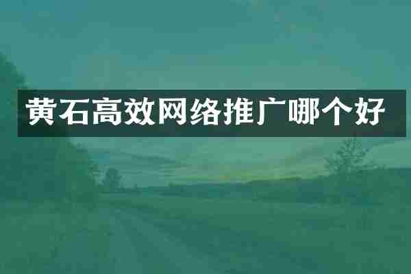 黄石高效网络推广哪个好