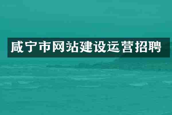 咸宁市网站建设运营招聘