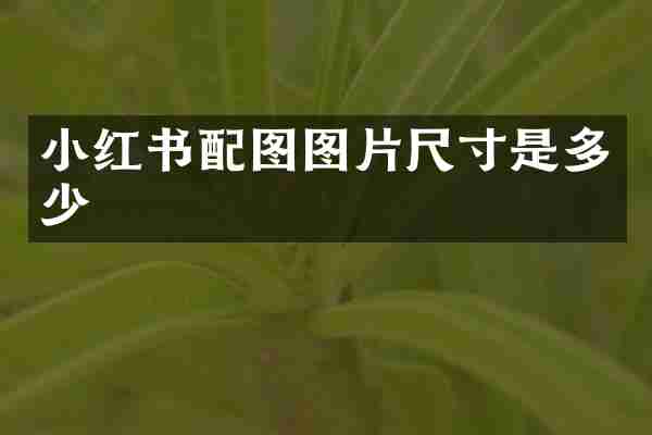小红书配图图片尺寸是多少
