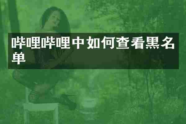 哔哩哔哩中如何查看黑名单