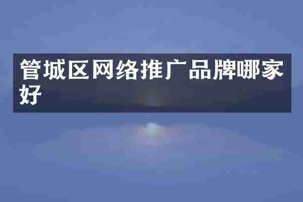 管城区网络推广品牌哪家好