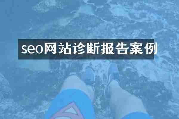 seo网站诊断报告案例