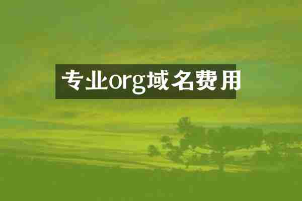 专业org域名费用
