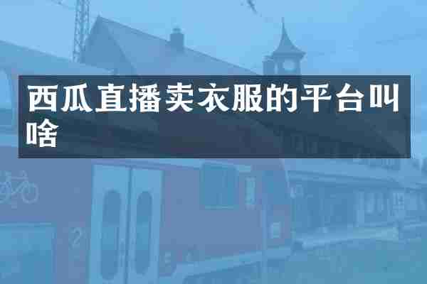 西瓜直播卖衣服的平台叫啥