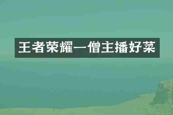 王者荣耀一僧主播好菜