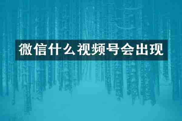微信什么视频号会出现