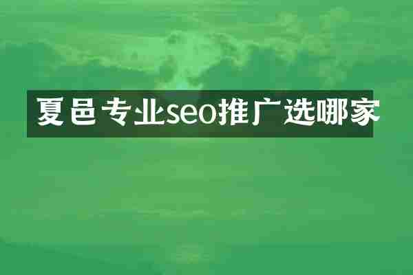夏邑专业seo推广选哪家