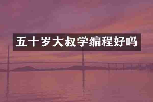 五十岁大叔学编程好吗