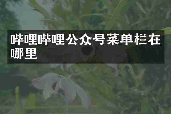 哔哩哔哩公众号菜单栏在哪里
