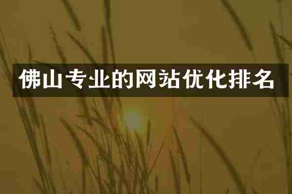 佛山专业的网站优化排名