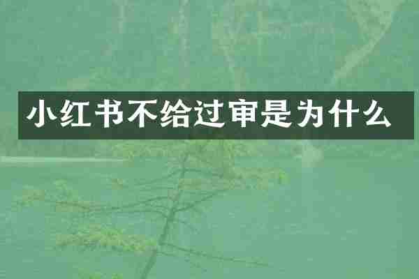 小红书不给过审是为什么