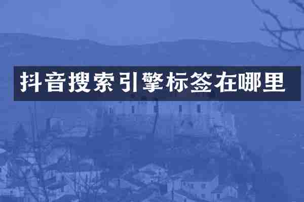 抖音搜索引擎标签在哪里