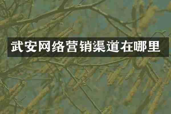 武安网络营销渠道在哪里
